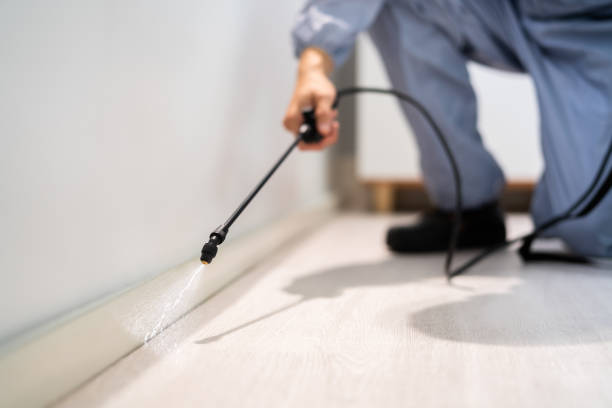 Bed Bug Pre-Treatment Preparation Assessment in Oak Bluffs