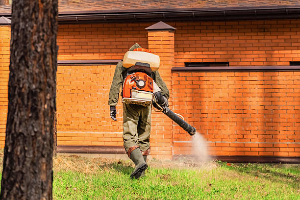 Bed Bug Clearance Verification and Documentation in Oak Bluffs